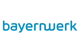 Bayernwerk Logo